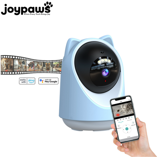 Two-way audio AI interactive pet camera toy